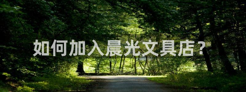 卧龙娱乐在线下载游戏：如何加入晨光文具店