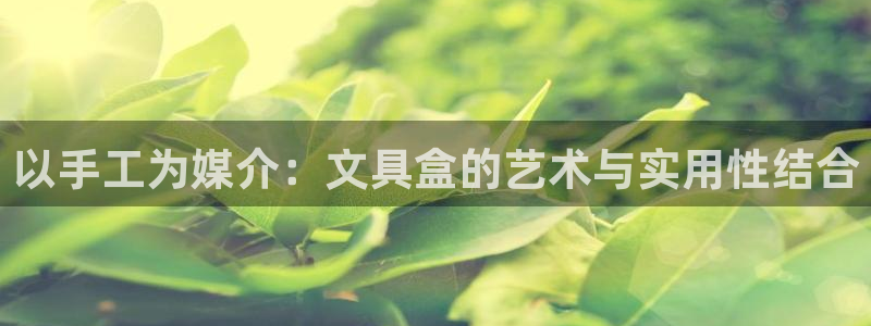 卧龙娱乐过山车：以手工为媒介：文具盒的艺