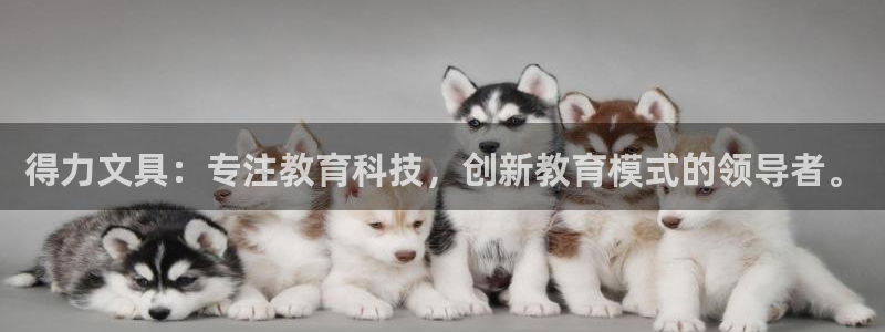卧龙2神机娱乐注册：得力文具：专注教育科