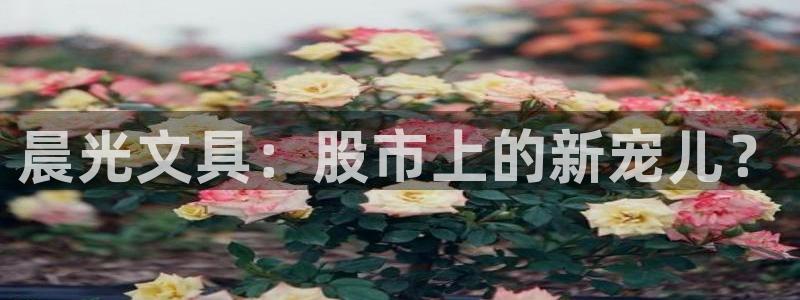 卧龙凤雏娱乐运城：晨光文具：股市上的新宠