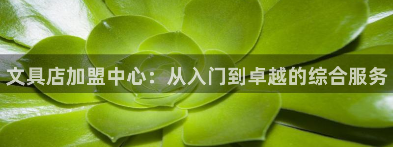悉尼卧龙岗娱乐：文具店加盟中心：从入门到