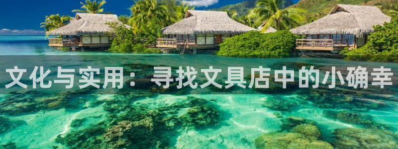 卧龙棋牌娱乐：文化与实用：寻找文具店中的