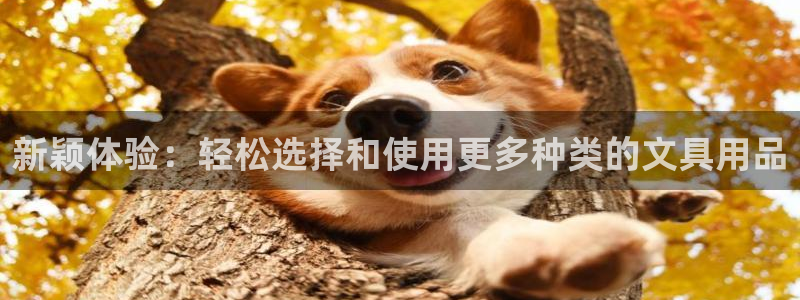 卧龙娱乐登录地址查询：新颖体验：轻松选择