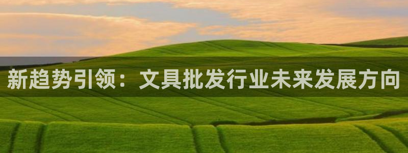 卧龙娱乐：新趋势引领：文具批发行业未来发