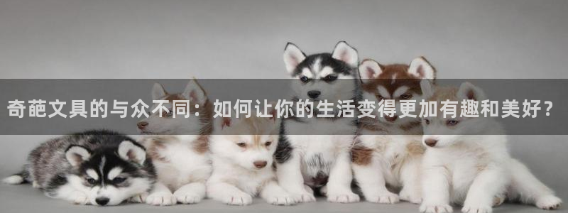 卧龙娱乐主管招聘：奇葩文具的与众不同：如
