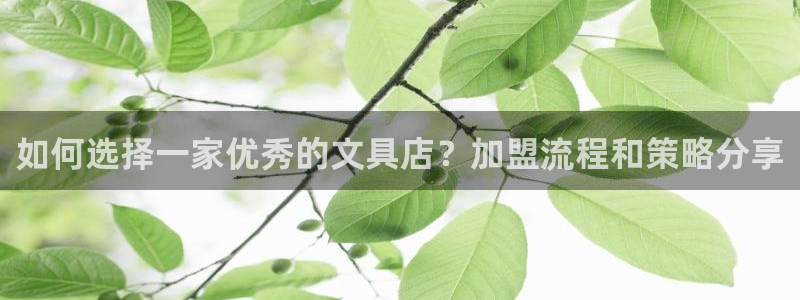 卧龙娱乐：如何选择一家优秀的文具店？加盟