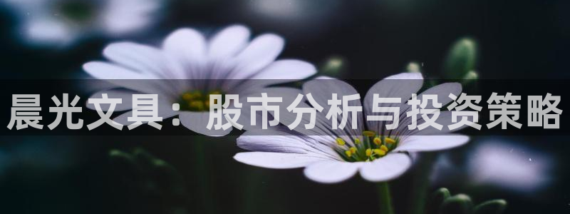 绥阳卧龙湖娱乐场所：晨光文具：股市分析与