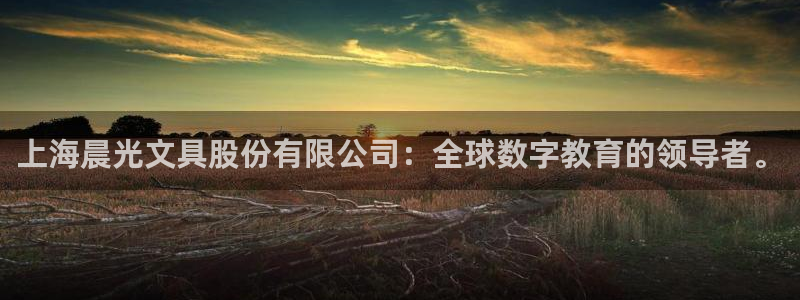 卧龙镇娱乐：上海晨光文具股份有限公司：全