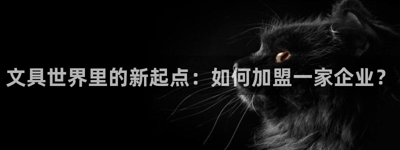 卧龙娱乐属于哪个集团：文具世界里的新起点