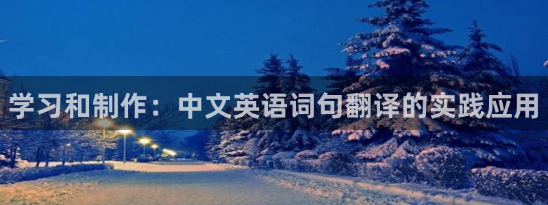 卧龙娱乐登录地址：学习和制作：中文英语词