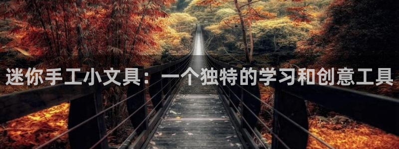 柏林娱乐- 0 卧龙：迷你手工小文具：一