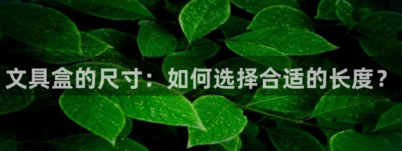 卧龙娱乐左7O667：文具盒的尺寸：如何