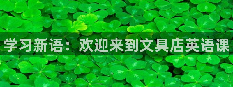 卧龙娱乐登录：学习新语：欢迎来到文具店英