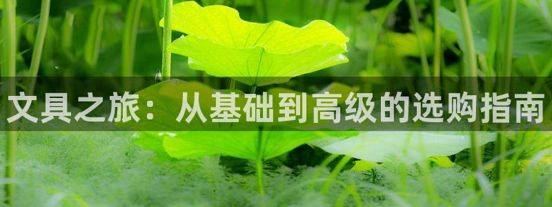 卧龙风雏娱乐：文具之旅：从基础到高级的选