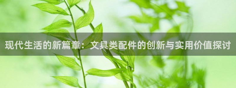 泰安卧龙大观娱乐中心：现代生活的新篇章：