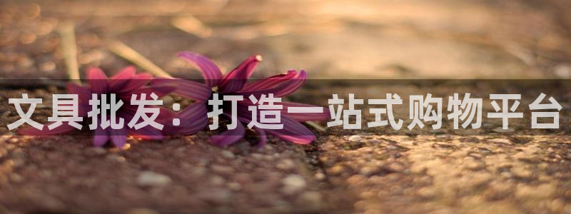 卧龙ktv娱乐会所电话：文具批发：打造一