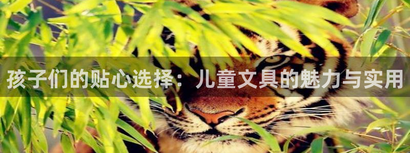 卧龙娱乐主管是谁：孩子们的贴心选择：儿童