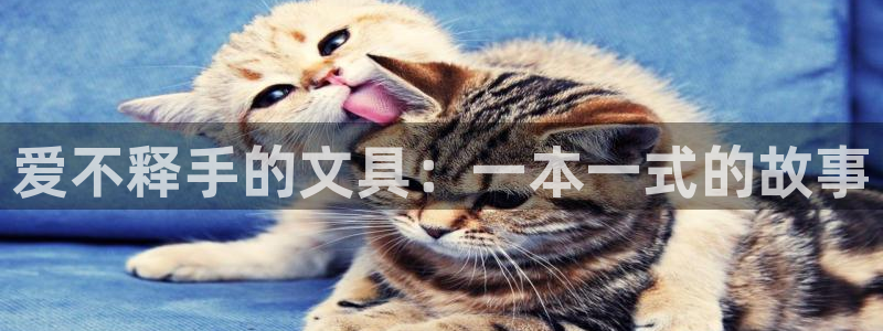 西安卧龙娱乐播报：爱不释手的文具：一本一