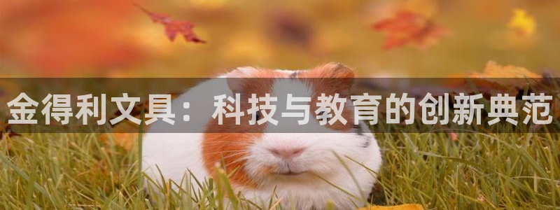 卧龙娱乐在线直播：金得利文具：科技与教育