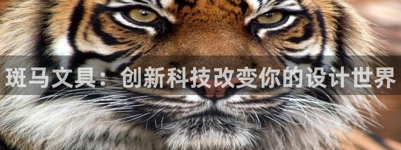 卧龙凤锄娱乐演员：斑马文具：创新科技改变