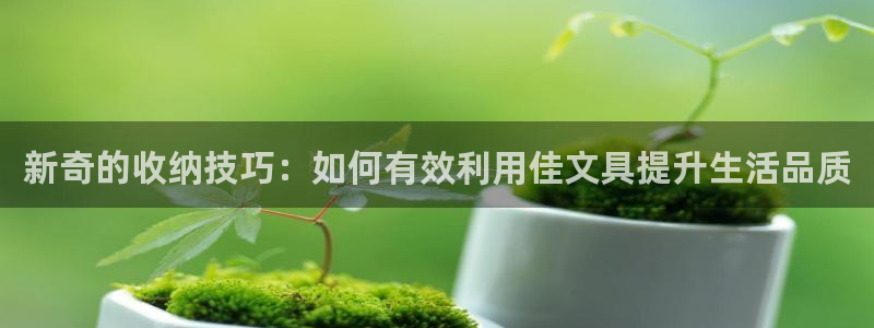 卧龙娱乐拆卡：新奇的收纳技巧：如何有效利