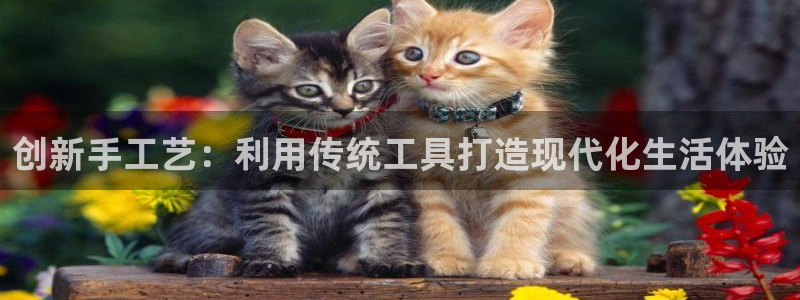 卧龙娱乐靠谱吗：创新手工艺：利用传统工具