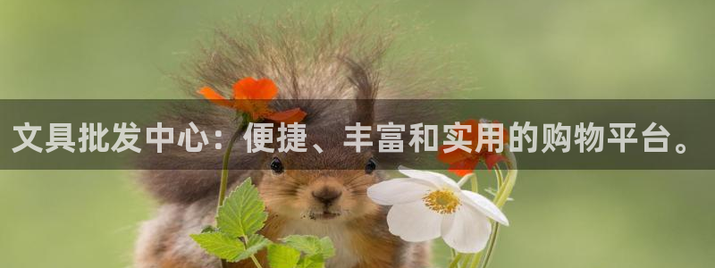 卧龙娱乐怎么样啊：文具批发中心：便捷、丰